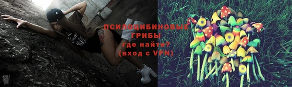 прущие крисы Гусиноозёрск