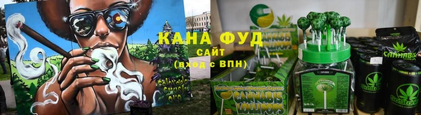 дживик Долгопрудный