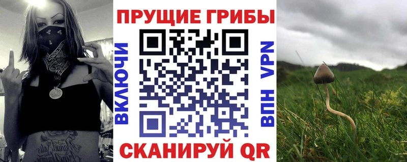 как найти закладки Долинск Галлюциногенные грибы Psilocybine cubensis