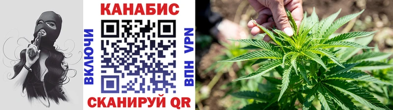 Бошки Шишки семена  Долинск 